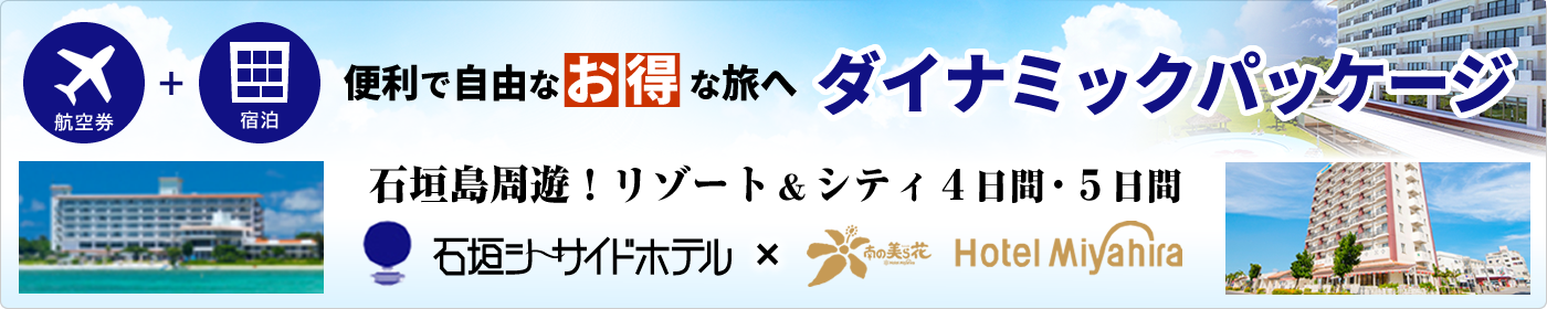 ダイナミックパッケージ